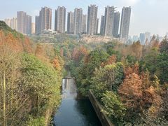 -重庆彩云湖湿地公园