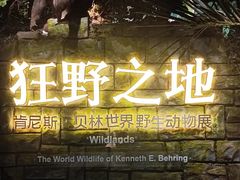 -浙江自然博物院(杭州馆)