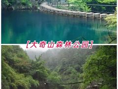 -杭州半山国家森林公园