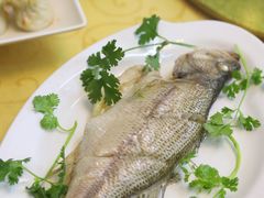 -吴祥记潮州菜·百年老字号·砂锅粥