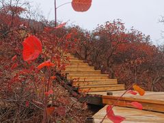 -水峪民俗村