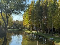 -溱湖国家湿地公园