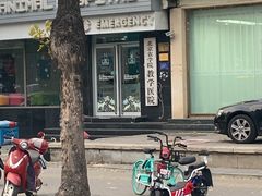 -北京观赏动物医院·24小时大型综合·猫专科·异宠专科