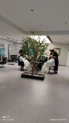 -付军剪艺JF ProSalon