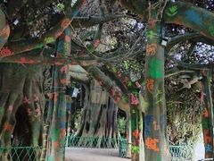 -云南民族村