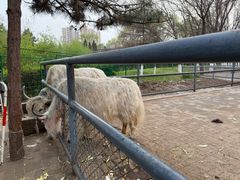 -长白岛森林公园