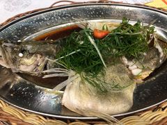 -鹅城