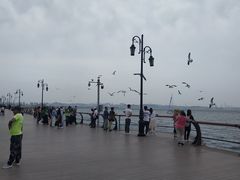 -东港音乐喷泉广场