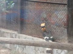 -昆明动物园