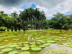 -中国科学院西双版纳热带植物园