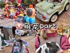 -灵玲国际马戏城