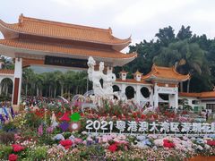 -深圳仙湖植物园