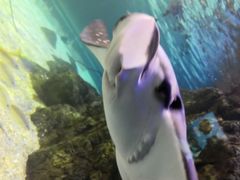 -南昌海洋公园