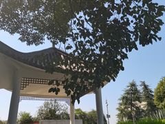 -艾坪山公园