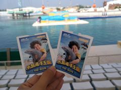 -秦皇岛乐岛海洋王国