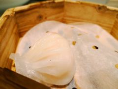 水晶虾饺-茶港·点心·啫啫煲(范湖万达广场店)