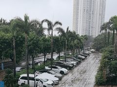 -海湾壹品·粤菜·早茶·烤鸭(拱北店)