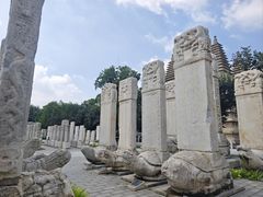 -北京石刻艺术博物馆(五塔寺)