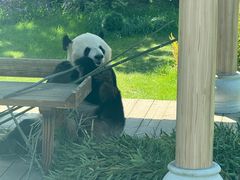 -无锡动物园·太湖欢乐园