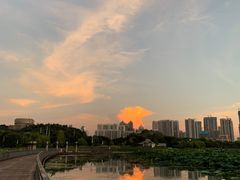 -月湖风景区