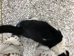 -骆马湖酒家(窑湾新区店)