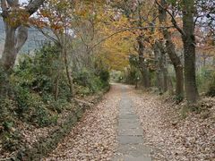 -东钱湖旅游度假区