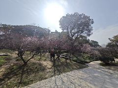 -无锡梅园公园