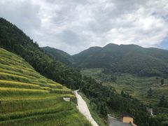 -紫鹊界梯田景区
