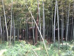 -同里国家湿地公园