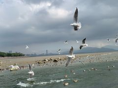 -深圳湾公园(南山区)