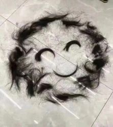 点击看大图 -Kraemer Paris苏豪路易士·嘉玛发廊