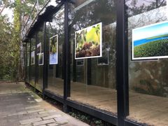 -东寨港红树林旅游区