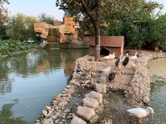 -静之湖湖畔餐厅