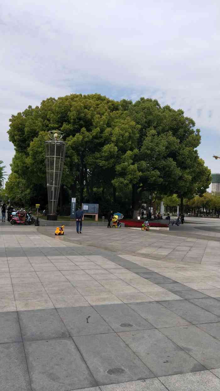 安亭市民广场-"挺大的一个市民广场,会有保安维持秩序和保.