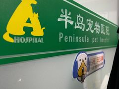-半岛宠物医院24小时(科华中路店)