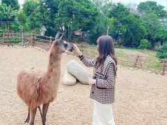 -泉州海丝野生动物世界