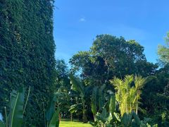 -东寨港红树林旅游区