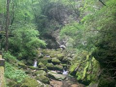 -牛背梁国家森林公园