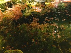 -醍醐寺