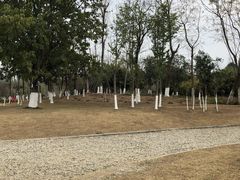 -白鹭湾湿地公园