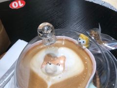 -逗柴咖啡屋·狗咖猫咖宠物桌游