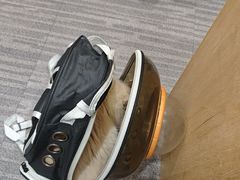 -半岛宠物医院24小时(西派城店)
