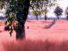 -汉长安城未央宫国家考古遗址公园