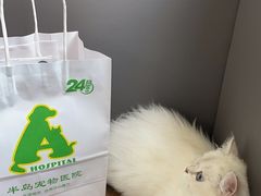 -半岛宠物医院24小时(西派城店)