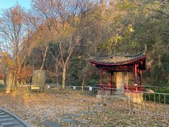 -幕燕滨江·长江观音景区