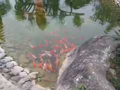 -佛爷洞旅游景区
