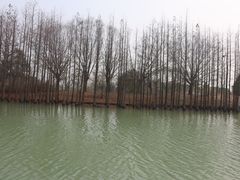 -苏州太湖国家湿地公园