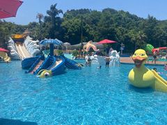 -重庆海昌加勒比海水世界