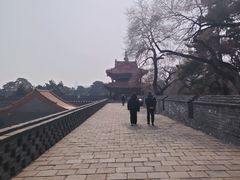 -北陵公园
