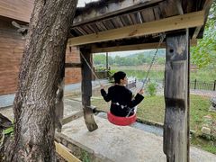 -梧桐庄园